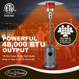 Commercial Series Patio Heater in Hammered Platinum Fire Sense