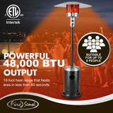 Commercial Series Patio Heater in Onyx and Stainless Steel Fire Sense