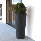 Noah Round Wicker Planter 2-piece Set in Black Balkene Home